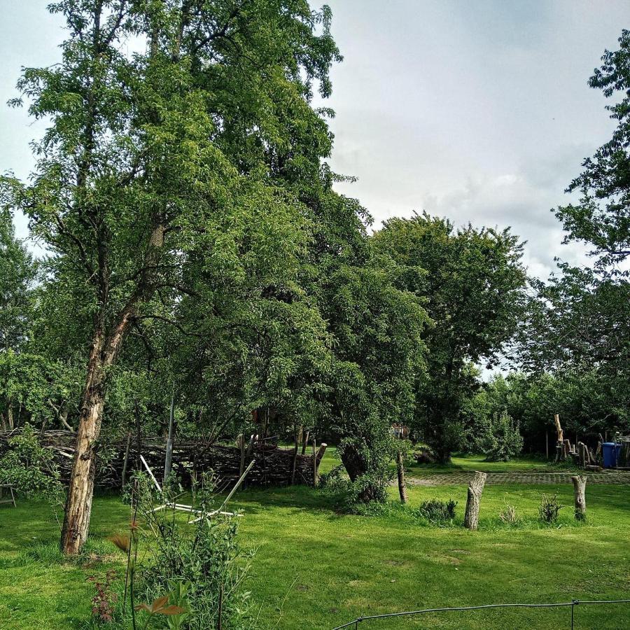 Ferienwohnung , im Karolinenkoog Erholung zwischen Feld und Deich Exterior foto